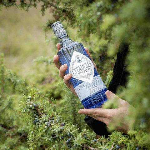 Citadelle Gin