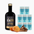 En GINSTR Winter Gin & Tonic-pakke fra Stuttgart Distillery indeholder en flaske Winter Gin, seks Mediterranean Tonic-dåser, og foran står tørrede appelsinskiver og kanelstænger.